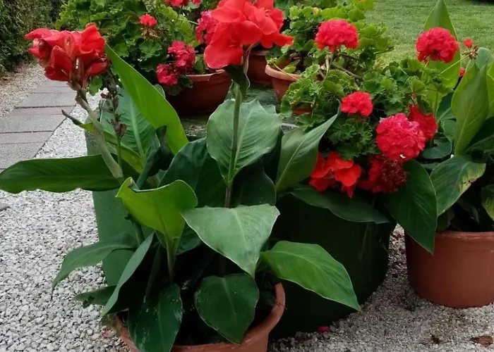 Daire Am By Interhome Balatonmáriafürdő